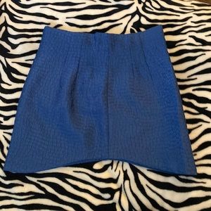 Zara Skirt